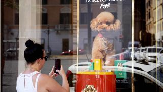 The new Dolce and Gabbana dog perfume called "Fefe".