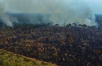 Smoke rises from a forest fire in the Transamazonica highway region, in the municipality of Labrea, Amazonas state, Brazil, on 17 September 2022. 