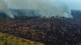 Smoke rises from a forest fire in the Transamazonica highway region, in the municipality of Labrea, Amazonas state, Brazil, on 17 September 2022. 