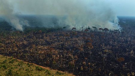 Smoke rises from a forest fire in the Transamazonica highway region, in the municipality of Labrea, Amazonas state, Brazil, on 17 September 2022. 