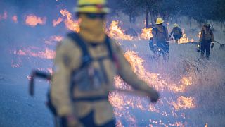 USA : la lutte contre les flammes continue au nord de la Californie