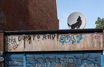 Banksy, hayvan temalı sokak sanatı koleksiyonunun bir sonraki eseri olarak uluyan kurdu tanıttı