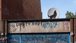 Banksy enthüllt heulenden Wolf als nächstes Werk einer tierischen Straßenkunstsammlung