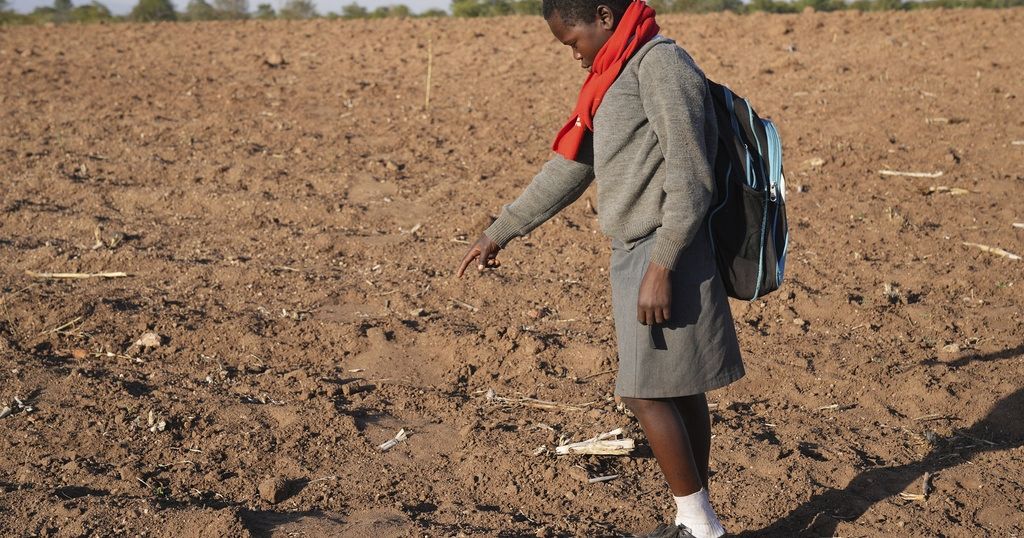 Enhancing safety: wildlife awareness for children in Zimbabwe