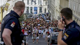 Austrian police officers watch swifts gathering in the city centre in Vienna on Thursday, Aug.8, 2024. 