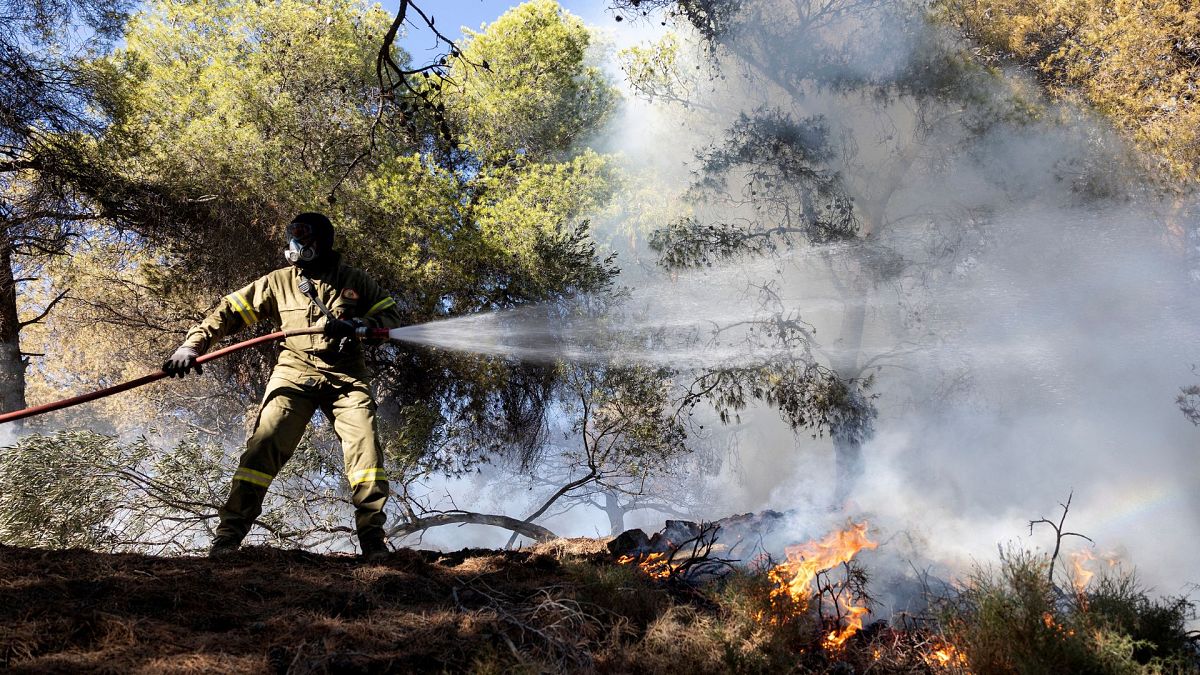 A firefighter struggles to extinguish a forest fire in Keratea, southeast of Athens, Greece, 30 June 2024. More than 2,000 wildfires have erupted all over Greece this summer.