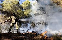 A firefighter struggles to extinguish a forest fire in Keratea, southeast of Athens, Greece, 30 June 2024. More than 2,000 wildfires have erupted all over Greece this summer.