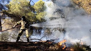 Bir itfaiyeci Atina'nın güneydoğusundaki Keratea'da çıkan orman yangınını söndürmeye çalışıyor, Yunanistan, 30 Haziran 2024. Bu yaz Yunanistan'ın dört bir yanında 2,000'den fazla orman yangını patlak verdi.