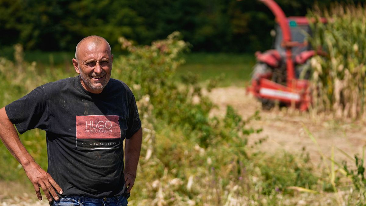 O agricultor Zlatko Kokanovic está no seu campo de milho na aldeia de Gornje Nedeljice, no fértil vale de Jadar, no oeste da Sérvia, a 6 de agosto de 2024.