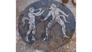 Sur l'île grecque d'Eubée, des archéologues ont mis au jour un sol en mosaïque, découvert par hasard lors de travaux d'installation de canalisations d'eau. 