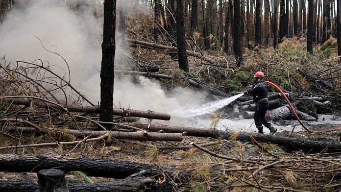 France could see its hottest weekend of the year with temperatures over 40C and wildfire warnings