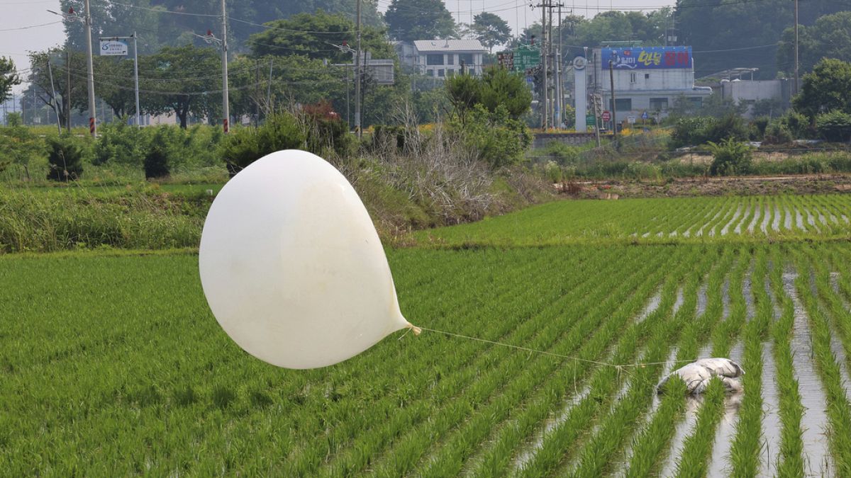 Kuzey Kore'nin gönderdiği düşünülen bir balon, Güney Kore'nin Incheon kentindeki bir çeltik tarlasında görüntülendi, 10 Haziran 2024