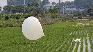 Kuzey Kore'nin gönderdiği düşünülen bir balon, Güney Kore'nin Incheon kentindeki bir çeltik tarlasında görüntülendi, 10 Haziran 2024