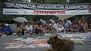 Sokak hayvanları kanun teklifi protesto ediliyor, Ankara, 22 Temmuz 2024.