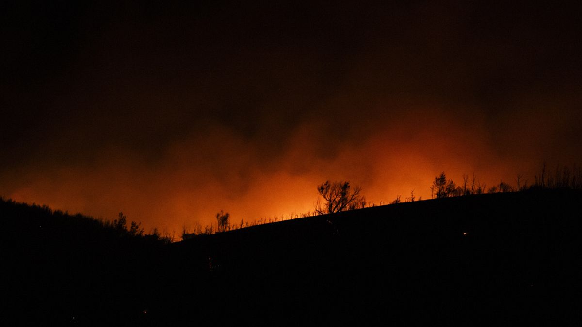 Il fumo, alimentato dal fuoco, si alza vicino al villaggio di Varnava durante un incendio selvaggio, a nord di Atene, in Grecia, domenica 11 agosto 2024.