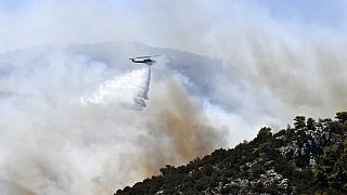 Un hélicoptère largue de l'eau sur un incendie à Nea Makri, à l'est d'Athènes, le lundi 12 août 2024.