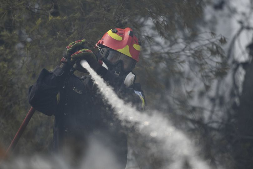 Ein Feuerwehrmann ist am Montag, 12. August 2024, in Dioni, nordöstlich von Athen, Griechenland, im Einsatz.