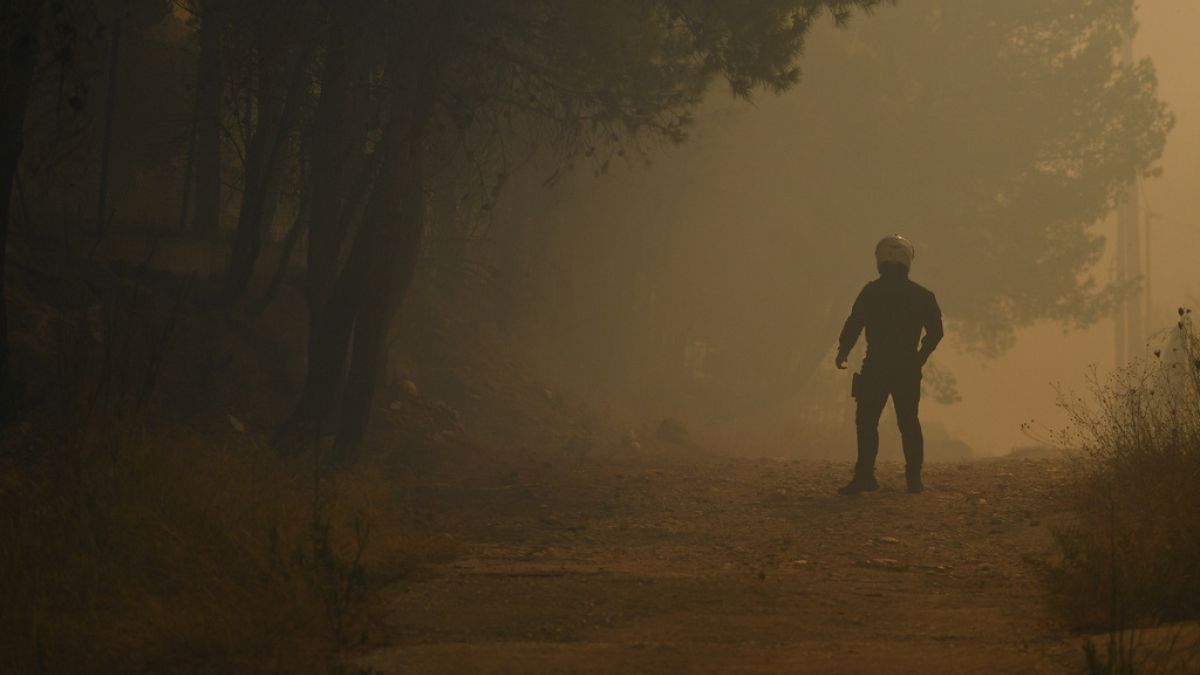 Polícia em zona onde lavram incêndios a nordeste de Atenas, na Grécia