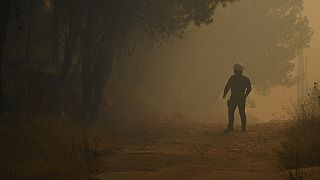 Polícia em zona onde lavram incêndios a nordeste de Atenas, na Grécia