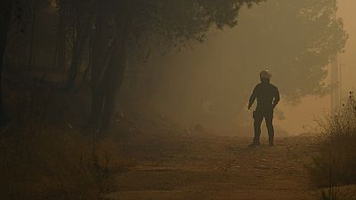 Polícia em zona onde lavram incêndios a nordeste de Atenas, na Grécia