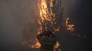 A firefighter adjusts his helmet in north of Athens, Greece, Sunday, Aug. 11, 2024.