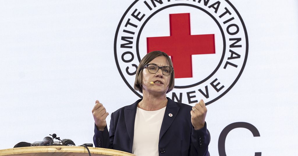 Geneva Conventions: Red Cross says war rulebook ignored in Gaza