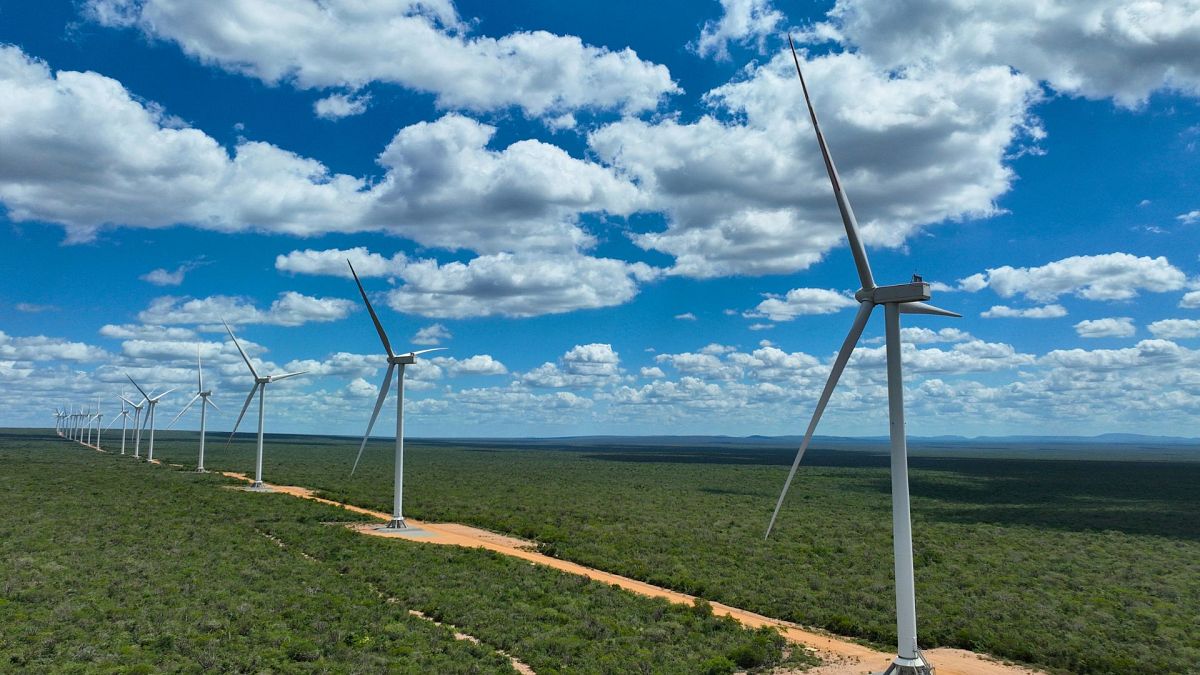 ‘Lacking ambition’: US, Russia and India fall behind on wind power