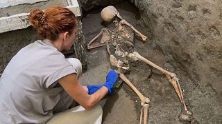 Arqueólogo limpiando los restos del esqueleto de un hombre que murió en Pompeya durante la erupción del 79 d.C.