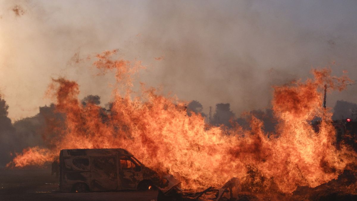 Ευρωπαϊκό Ελεγκτικό Συνέδριο-Ελλάδα: Παρωχημένοι δασικοί χάρτες – Πρόβλημα απορρόφησης κονδυλίων