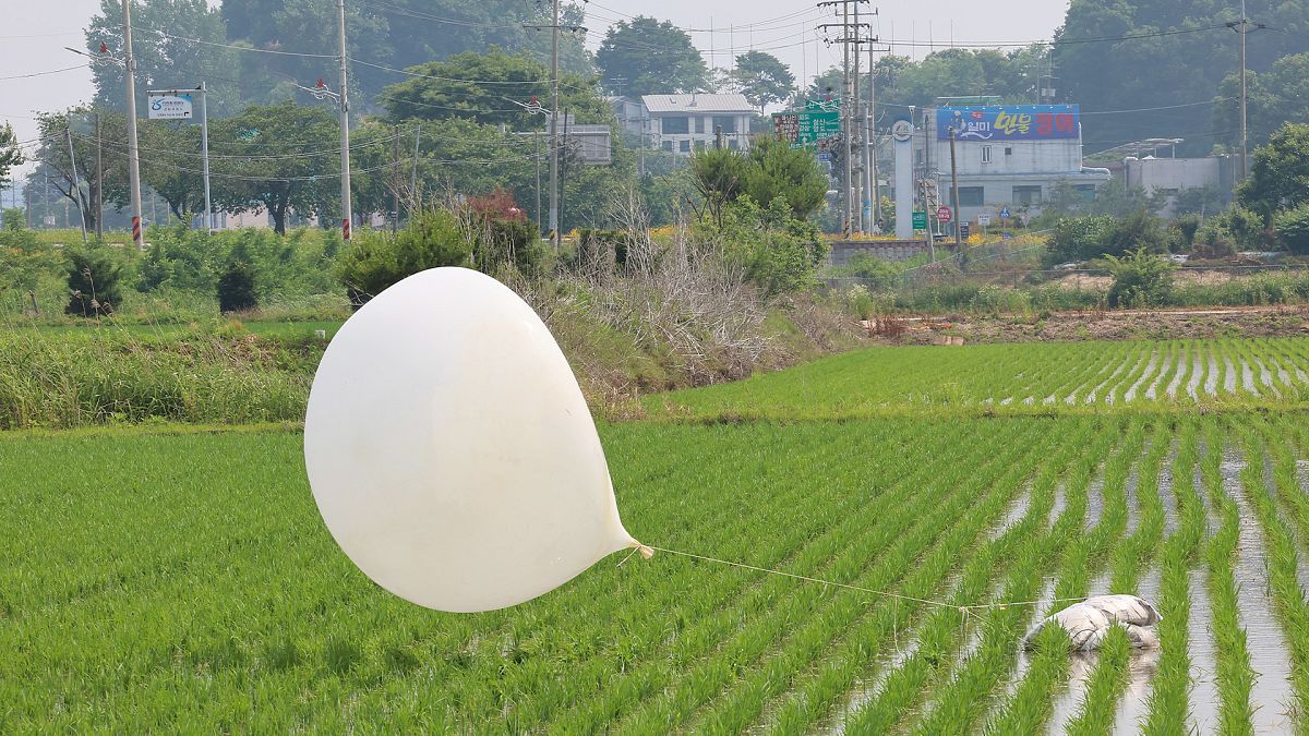 ARCHIVO: Un globo enviado presumiblemente por Corea del Norte, es visto en un arrozal en Incheon, el 10 de junio de 2024.