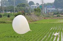 ARCHIVO: Un globo enviado presumiblemente por Corea del Norte, es visto en un arrozal en Incheon, el 10 de junio de 2024.