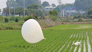 ARQUIVO: Um balão, presumivelmente enviado pela Coreia do Norte, é visto num campo de arroz em Incheon, 10 de junho de 2024