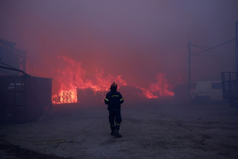 A firefighter stands in front of a burning business during a fire in northern Athens, Monday, Aug. 12, 2024, as hundreds of firefighters tackle a major wildfire.