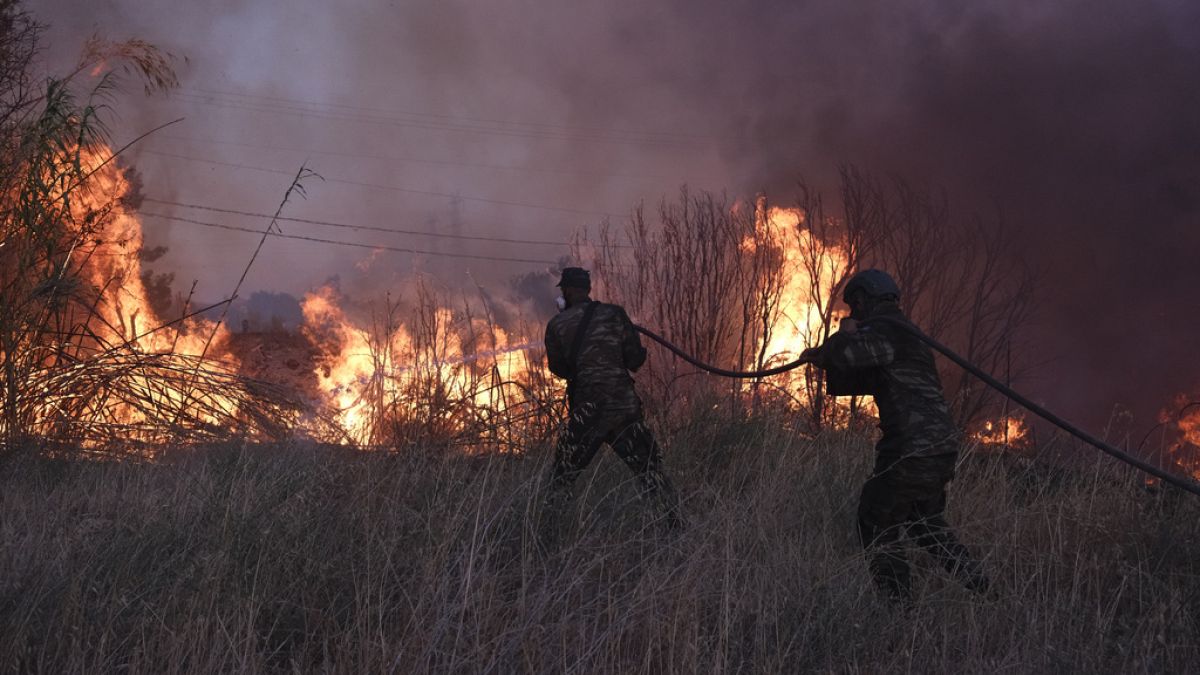 Volontari cercano di spegnere l'incendio nel nord di Atene, 12 agosto 2024