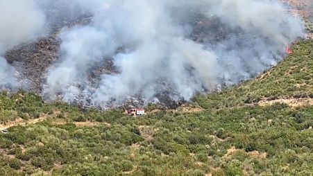 In Bosnien-Herzeogowina bedroht ein Waldbrand den Sutjeska Nationalpark