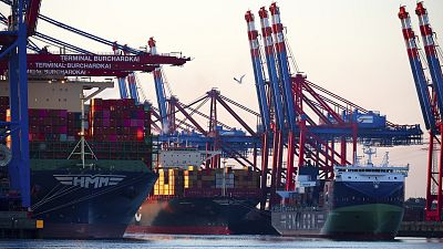 Container freighters moored in the port of Waltershof in Hamburg, Germany