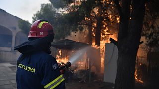 Un bombero trabaja para extinguir las llamas en una casa en llamas en el norte de Atenas, el lunes 12 de agosto de 2024.