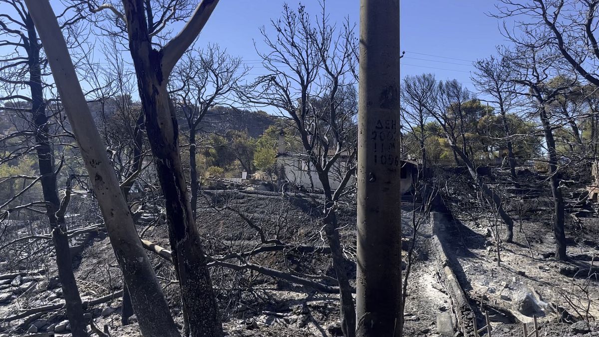 Grèce : la région de l'Attique menacée de désertification à cause des feux de forêt