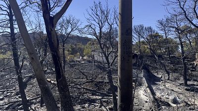 Aufnahme von Attika nach dem großen Feuer 