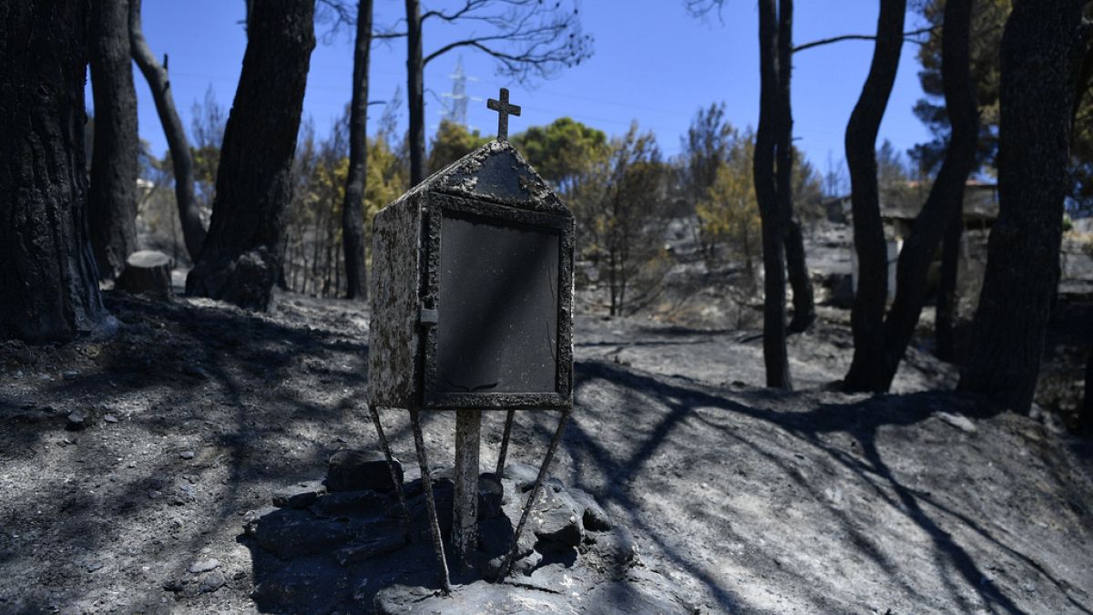 Erdei emlékhely Nea Penteli közelében a tűzvész után