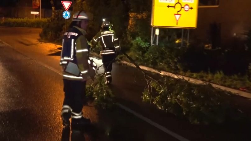 Firefighters tend to a fallen tree in Bavaria.