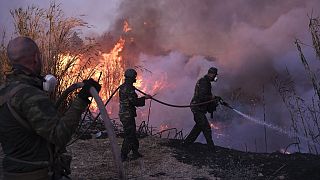 Volontari cercano di domare l'incendio in Grecia