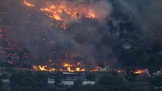 Fire approaches houses in Kalamaki near Agioi Theodori about 60 Kilometres west of Athens.