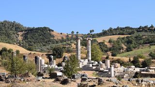 Kazı başkanı iskeletlerin kafa ve kollarında kılıç izleri bulunduğunu, ayrıca askerlerin avuç içlerinde sapan taşı olabileceğini belirtti.