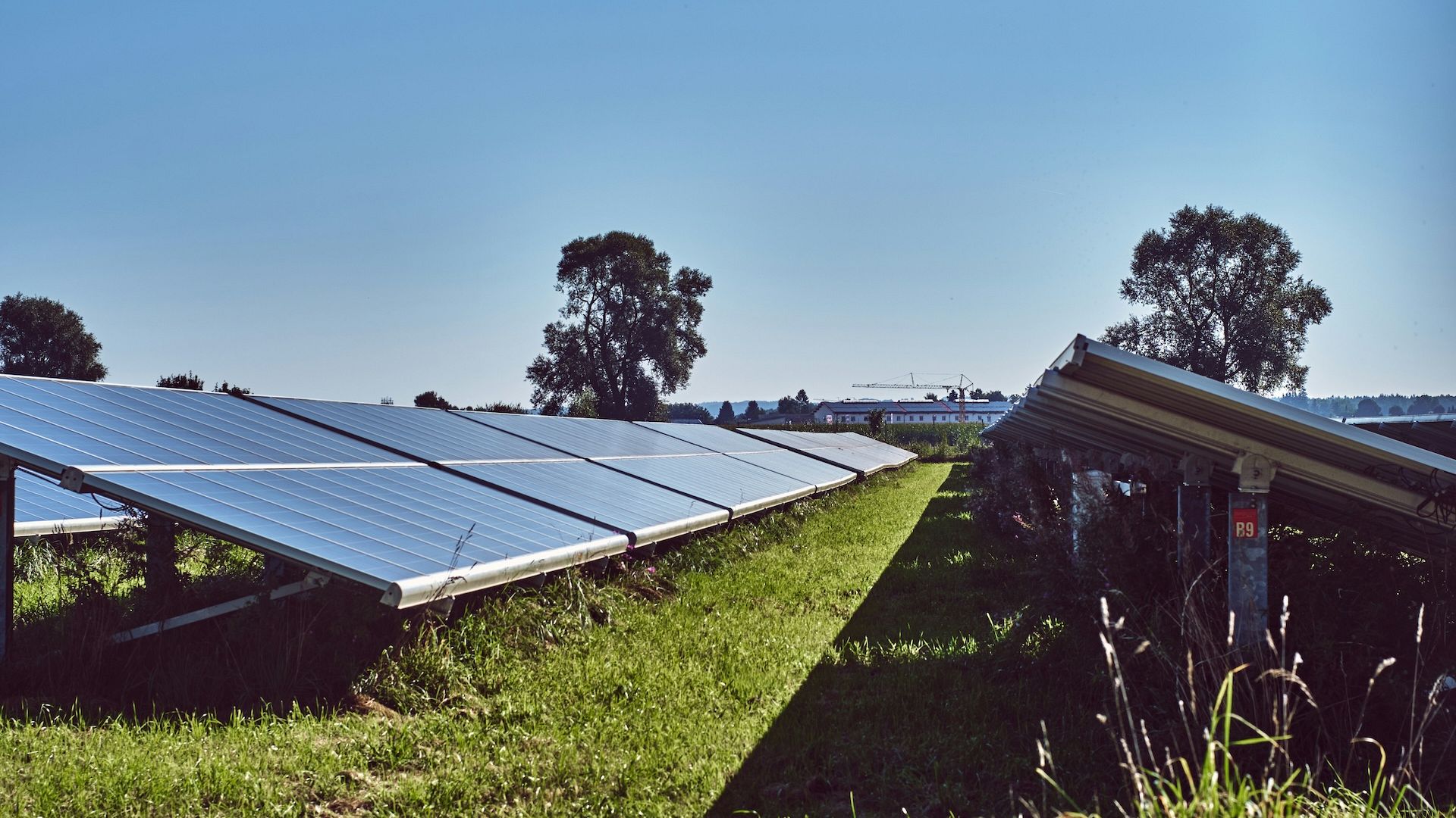 Thurrock Council Billion-Pound Disaster Solar Investment Scandal Leaves Essex in Financial Ruin
