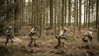 Des soldats lors d'un exercice militaire