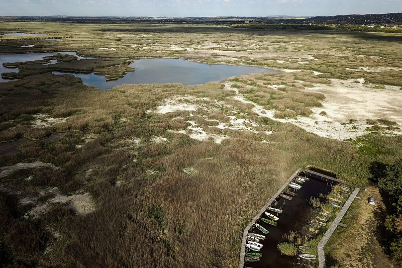 Le lac de Velence, un lac touristique populaire près de Budapest, en Hongrie, à son niveau le plus bas jamais enregistré, le jeudi 11 août 2022.