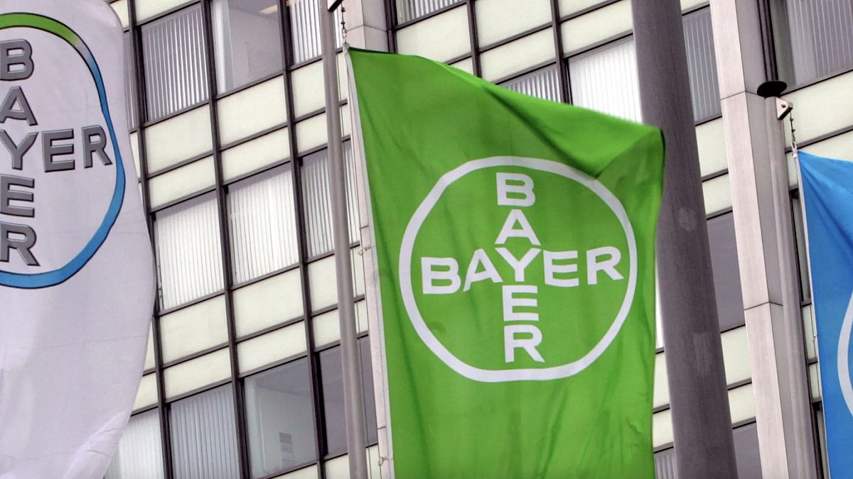 Bayer (Arşiv fotoğraf)