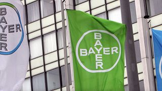 Bayer (Arşiv fotoğraf)