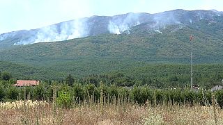 In Nordmazedonien hat es infolge der Hitzewelle 54 Brände in verschiedenen Regionen des Landes gegeben. 